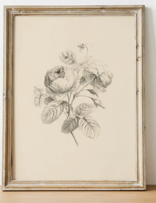 Floral Antique Vintage Art